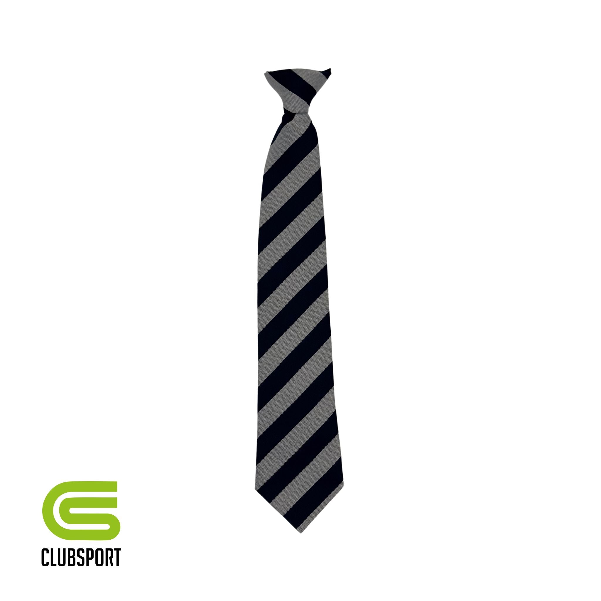 Ludlow C E School Tie