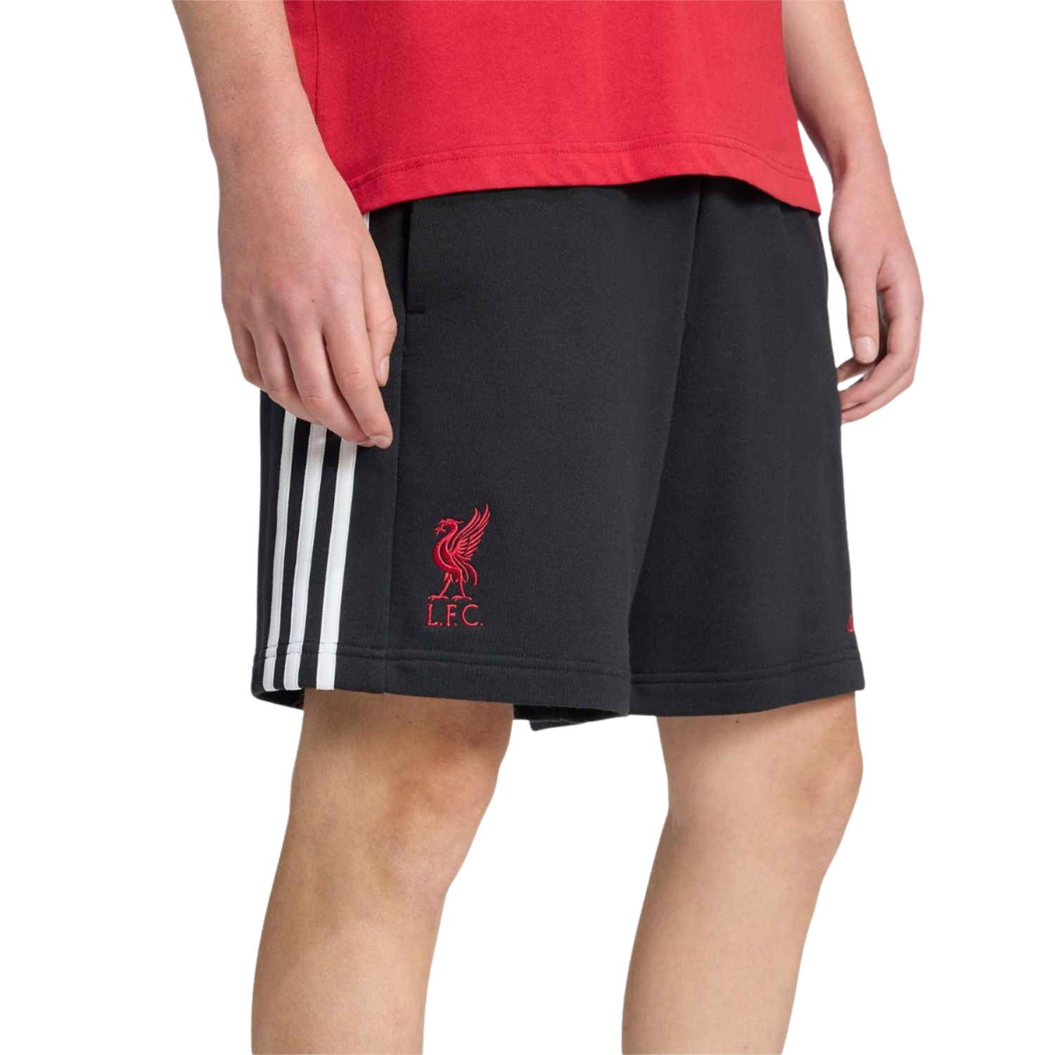 Adidas Liverpool F.C. 25/26 DNA Shorts Men - Black
