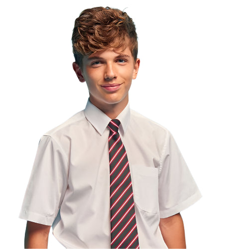 TT Short Sleeve Shirt White Twin Pack