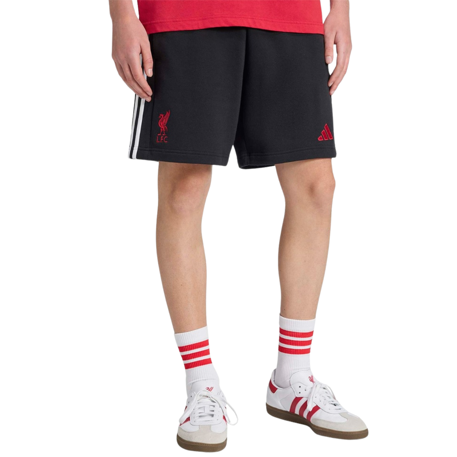 Adidas Liverpool F.C. 25/26 DNA Shorts Men - Black