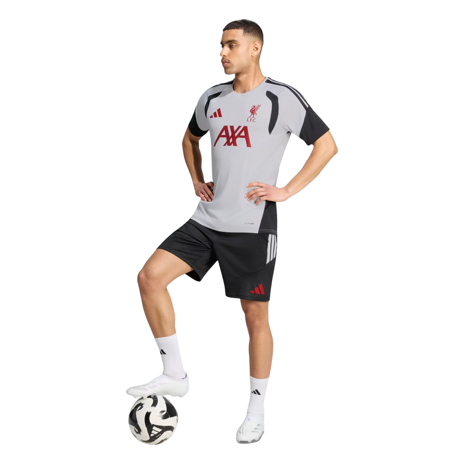Adidas Liverpool F.C. Tiro Training Jersey Men - Grey