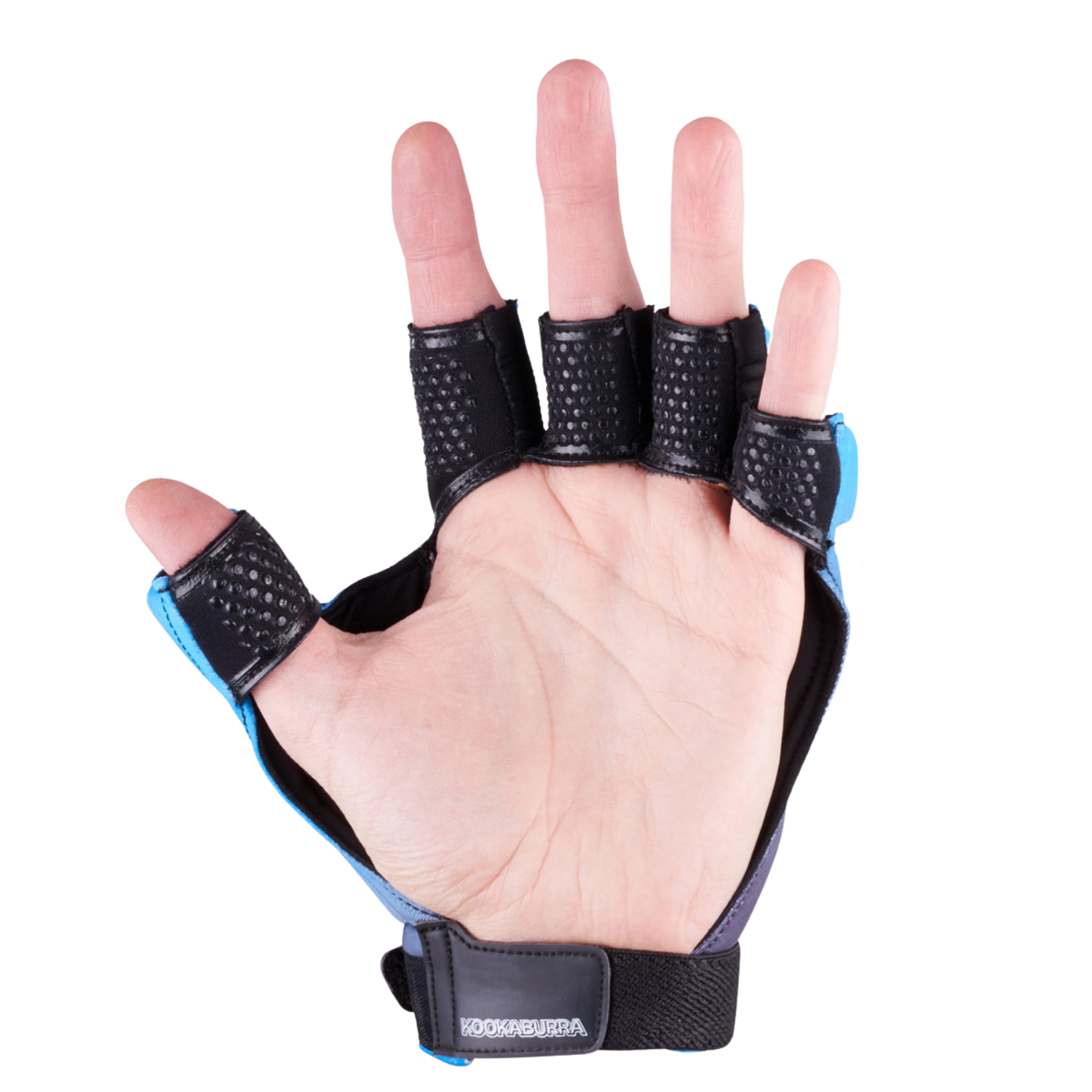 Kookaburra Hydra Left Hand Guards - Black/Blue